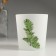 Summary "7 flowers-2" 8.4x7.9 cm, 250 ml