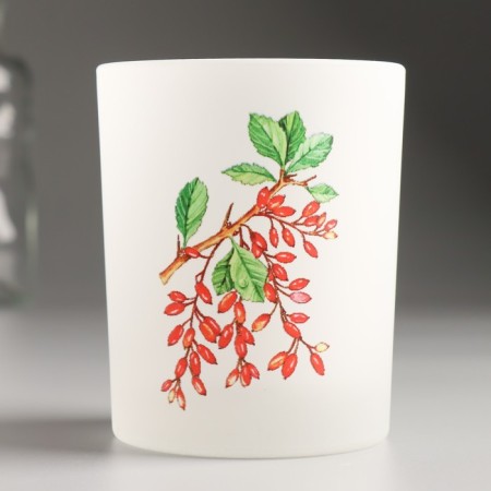 Berry Summary "Barberry" 9.3x7.7 cm, 240 ml-2