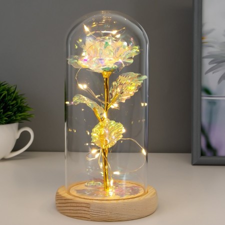 Nightlight "Bright flower" LED from batteries 3haaa 11x11x21.5 cm Risalux-1