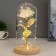 Nightlight "Bright flower" LED from batteries 3haaa 11x11x21.5 cm Risalux