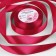 Satin tape, 25 mm × 23 ± 1 m, raspberry color No. 72