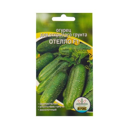 Seeds Othello Cucumber, 10 pcs