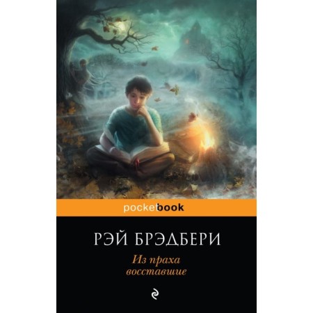 The rebels from the ashes. Bradbury R.
