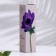 Diffusor aromatic, Wind Flower, 100ml (Spring)