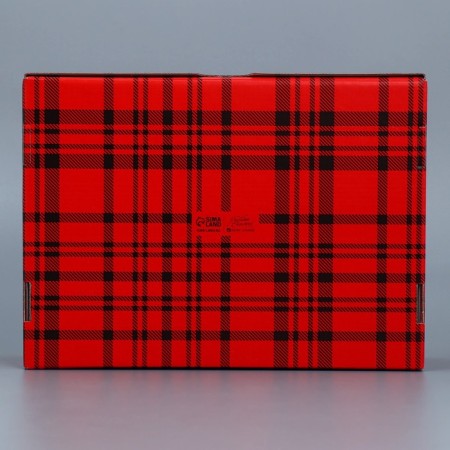 Folding box "Cell", 30.7 x 22 x 9.5 cm, New Year-5