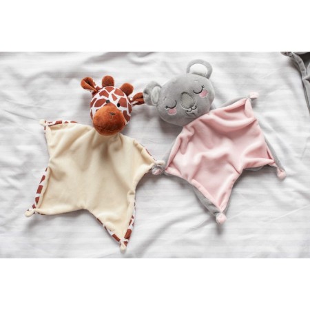 Gift set: soft toy+holder for the dummy "Coala"-7