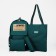 Set of backpacks on lightning from textiles, chopper, bag, pencil case, green color