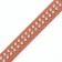 The collar of riveted with 2 rows of rivets, 33 x 1.2 cm, Osh 23-29, brown