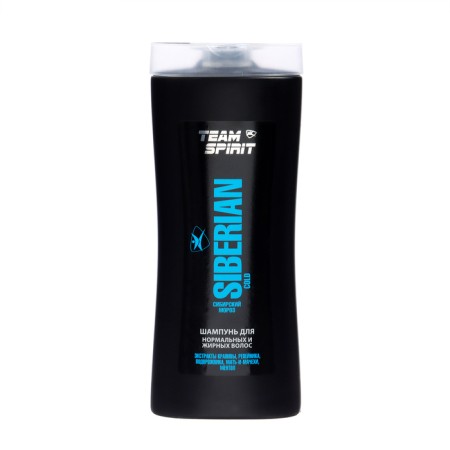 Gift set of male Team Spirit: shampoo, 250 ml + shower gel, 250 ml-2