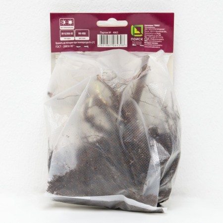 Derbennik "Ivolid Belsh", 1 pc, rr I, Spring 2025-1