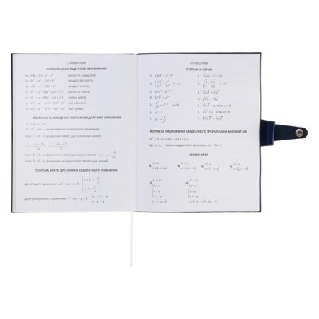 Universal diary for grade 1-11 Favorite, soft cover, button, artificial leather, foil embossing, refrain, lies, 48 ​​sheets-20