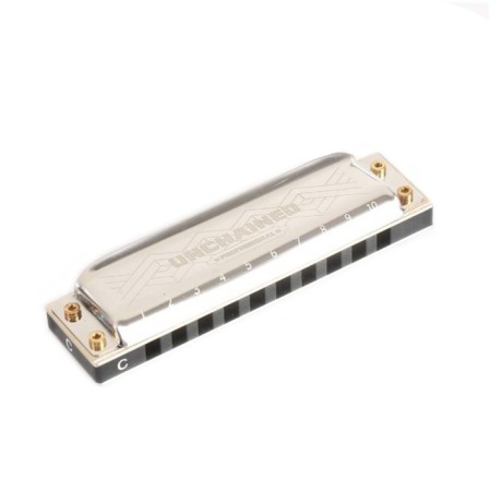 Diathonic harmonica Easttop Pro60 b-2