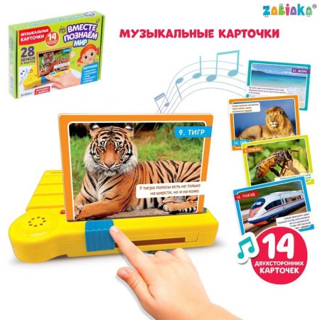 The training interactive set “We know the world”, plastic prefix, music cards, 14 pcs.