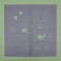 Matte flowers film, "Flowers with a border", 58x58cm, green