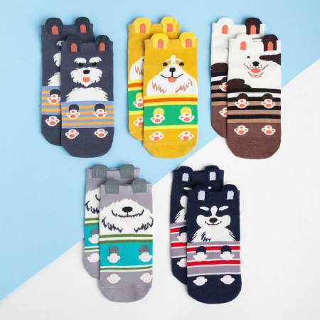 Set of socks "in otlet socks" 5 pairs, 22-24 cm, cotton-1