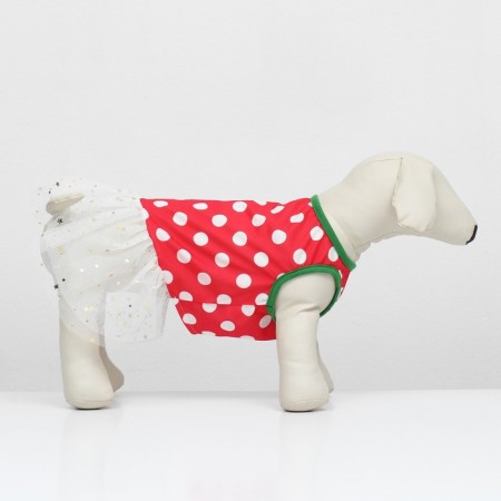Animal costume "Fairy", size S (DS 27, OG 38, Osh 25 cm), red-white-1