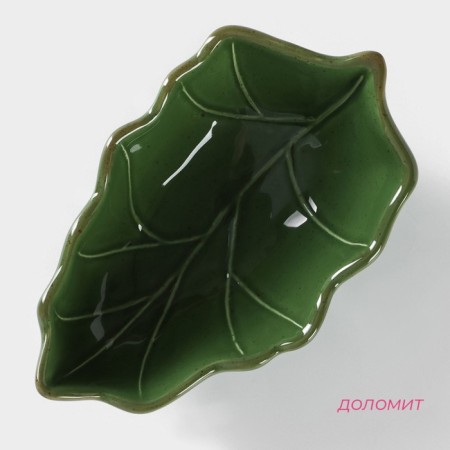Saladnik Dolyana "Liszt", 18 × 11 cm, green color-1