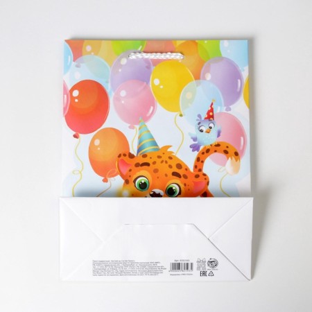 Gift laminated package, packaging, Happy Birthday, MS 18 x 23 x 8 cm-4