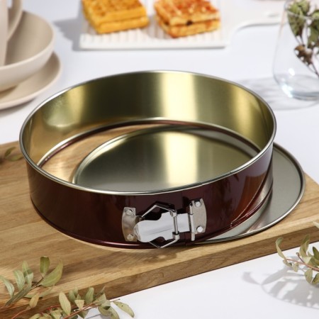 Form for baking and layout with the size of the size “Nikis”, D = 24 cm, h = 6 cm, anti -stick coating, color mix-19