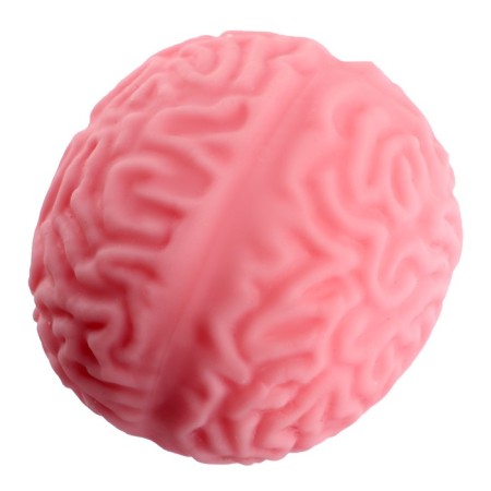 Anthistress label “I brought you the brain”, with paste, in the showbox-1