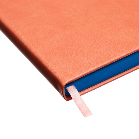 Leduced Diary A5, 140l, Cage, leatherette, elastic band, turquoise slice, peach-5