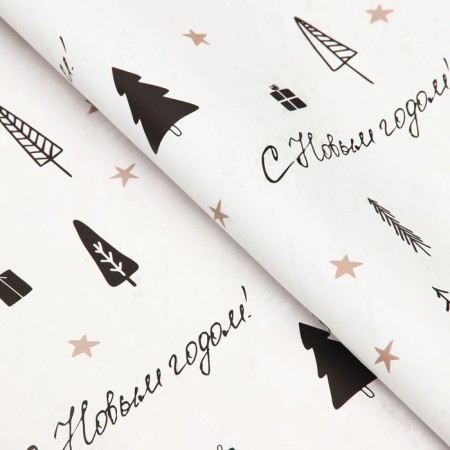 Paper Glossy Bilateral "Happy New Year!", 68 x 100 cm-1