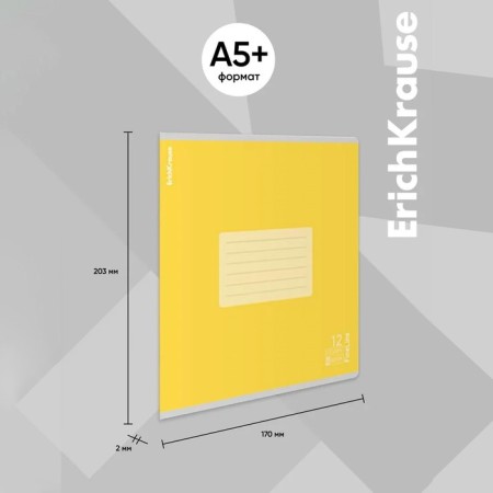 Notebook of 12 sheets in the Erichkrause "fineline" line, matte lamination, cover of coated cardboard, offset unit, mix-3