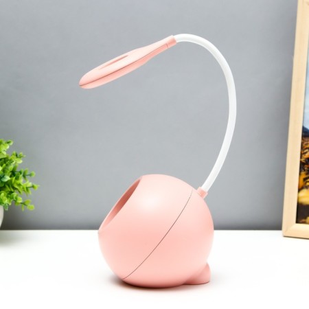 Board lamp with a nightmare "Princess" LED 3000K-6000K 5W USB AKB pink 14x14x44cm Risalux 9413-8