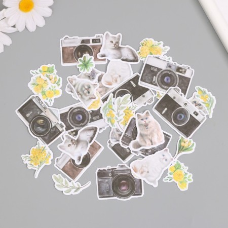 Stickers for creativity "Cats, yellow flowers and photos" 3.5x5 cm set 40 pcs 9.4x8.4x0.5 cm-3