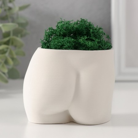 Interior subject "innocent view" height 6.5 cm, width 8.5 cm white (moss green. Stabiliz)-2