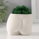 Interior subject "innocent view" height 6.5 cm, width 8.5 cm white (moss green. Stabiliz)