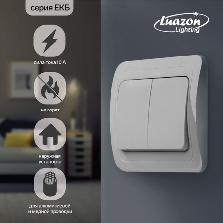 Luazon Lighting "ECB" switch, 10 A, 2 keys, white