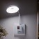 Sconces in the socket "Zion" LED 2W white 10x6x26.5 cm