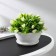 Pot for flowers with a subdone "Alice", 1 l, d = 17 cm, h = 10 cm, white color
