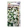 Gypsophyla seeds elegant snow queen 0.3g*