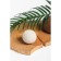 Natural bomb for the bath "Coconut", 80 gr