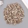 Set of decorative shells "Astra 122" 100 g