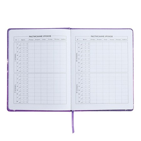 Universal Diary Grade 1-11, 48 sheets "Fairy", hard cover of artificial leather, lies, universal cheat sheet, block 80 g/m2-5