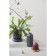 TKANO EDGE vase, 22 cm, gray color