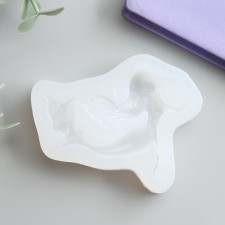 Mold Silicon 