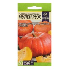 Seeds of pumpkin 