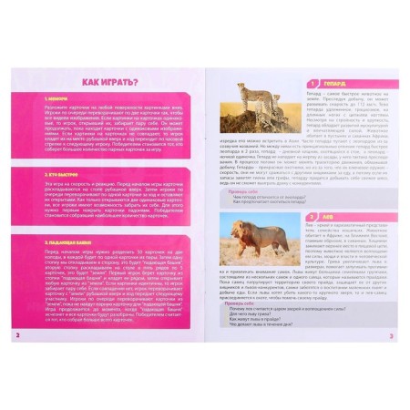 Board game "Memo. Animal world"-3
