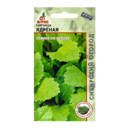 Seeds mustard "Olive" 0.3g*
