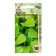 Seeds mustard "Olive" 0.3g*