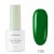 No. 166 Forest Fern