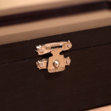 Hand game "Domino" in a casket 20x7x4 cm, a tree shisham-4