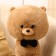 Soft toy "Dog in a butterfly", 40 cm, brown color