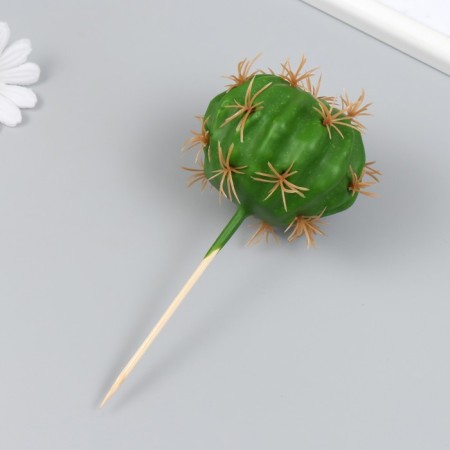 Artificial plant for creativity "Cactus Hymnocalcyium" 8x10.5 cm long 16 cm-2