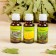 A set of essential oils "Pine. Lemon. Eucalypt", 3 pcs of 17 ml