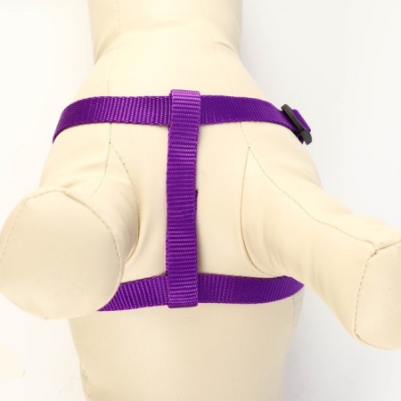 Set "Basis", leash 120 x 1.5 cm, OG 32-46 cm, purple-4
